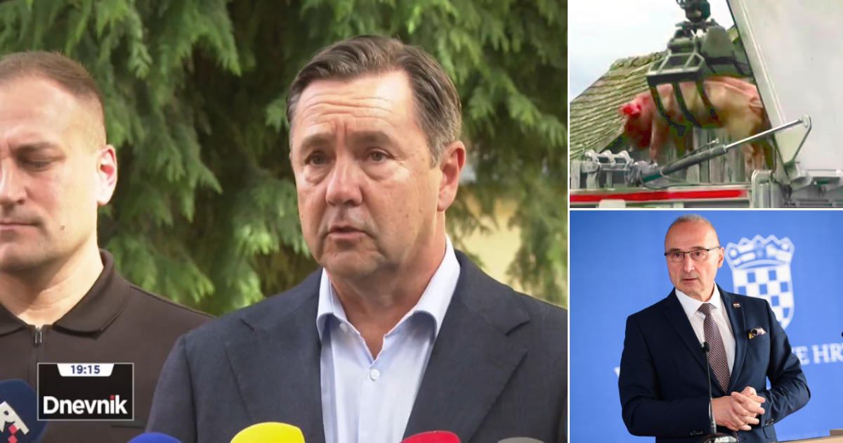 David Vlajčić, Andrija Mikulić, Gordan Grlić-Radman, afrička svinjska kuga, eutanazija domaćih svinja