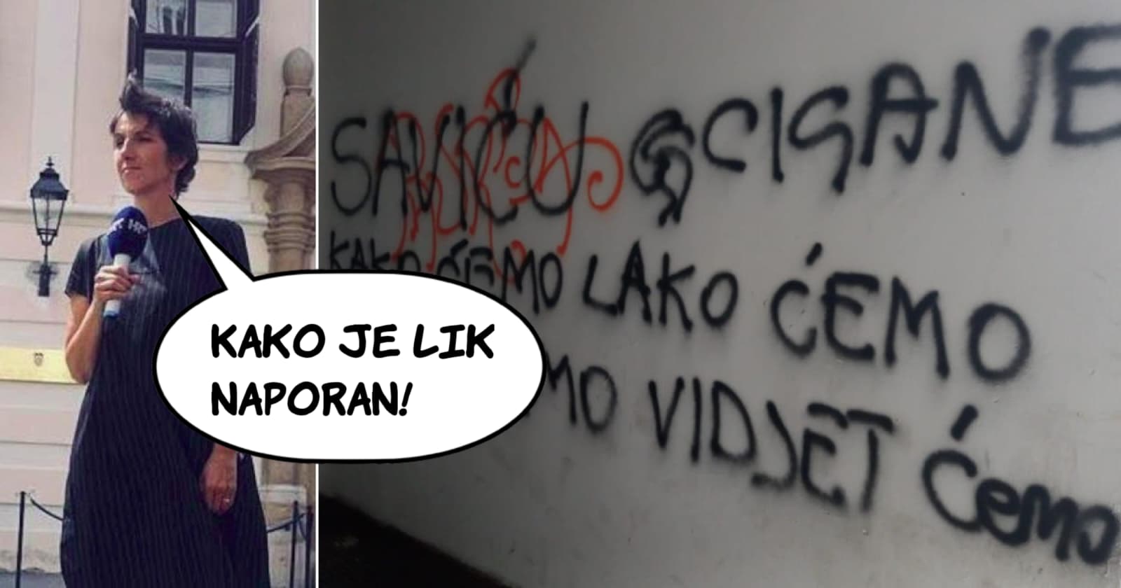 Maja Sever o napadima na mene, moju obitelj i imovinu